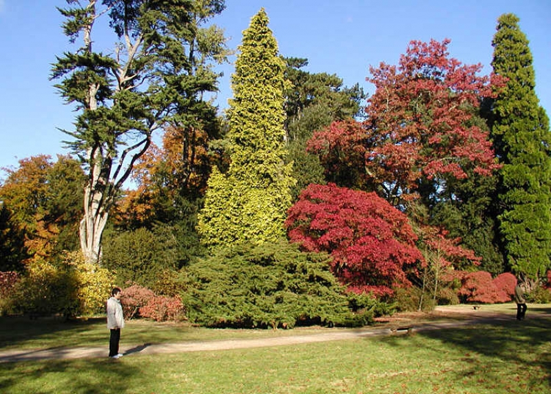 A visit to The Arboretum at Flagstaff