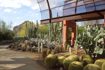 The Desert Botanical Garden